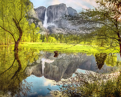 Remembered Landscape, Yosemite National Park, California Standard Art Print