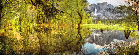 Remembered Landscape, Yosemite National Park, California Panoramic Standard Art Print