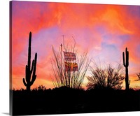 Arizona Flag and Fauna, Sonoran Desert Canvas