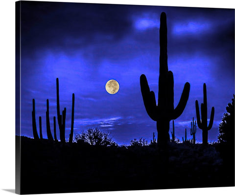 Full Moon and Saguaros, Sonoran Desert Canvas