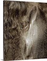 Stallion Spirit, Mighty Friesian Vertical Canvas