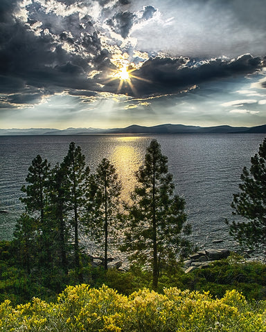 Star Sunset, Lake Tahoe, Nevada Metal Print