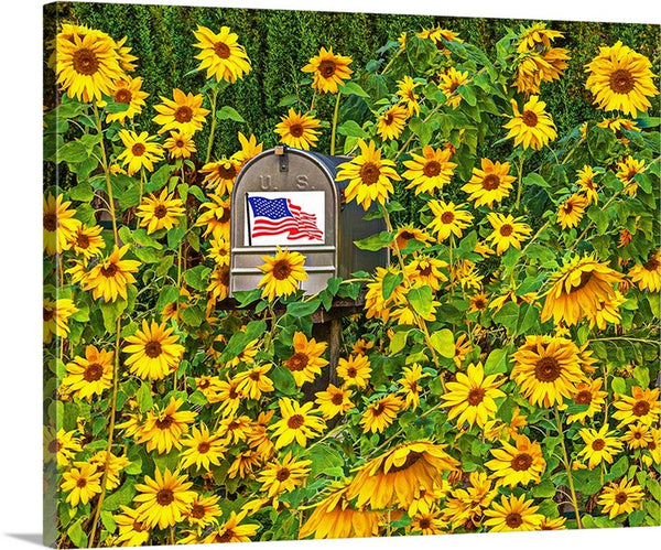 American Flowers Canvas