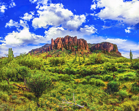 Superstition Mountains Springtime, Arizona Metal Print
