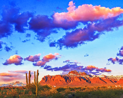 Superstition Mountains and Four Peaks, Winter Standard Art Print