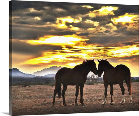 The Meeting, Wild Horses Canvas