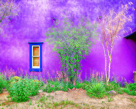 Tucson Presidio Purple, Arizona