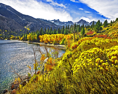 Twin Lakes Autumn, Eastern Sierras, California Standard Art Print