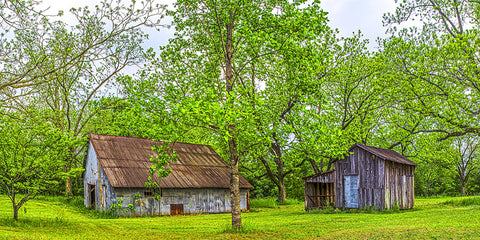 Two Barns, South Carolina