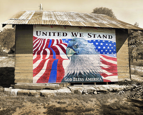 United We Stand, Blue Line Barn Metal Print