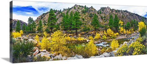 Autumn River, Walker River CA/NV Panoramic Canvas