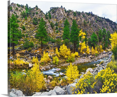 Autumn River, Walker River CA/NV Canvas