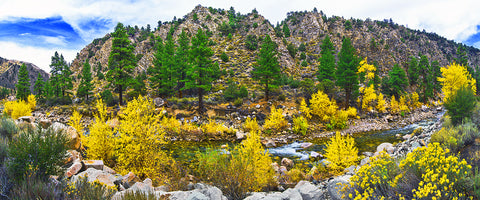 Autumn River, Walker River CA/NV Panoramic Metal Print