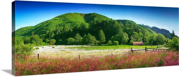 White Flower Meadow Panoramic Canvas