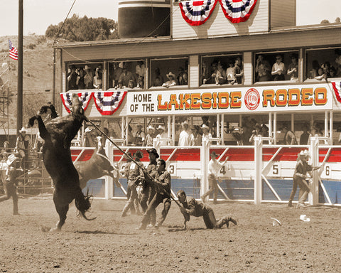 Wild Horse Race, Lakeside Rodeo, California